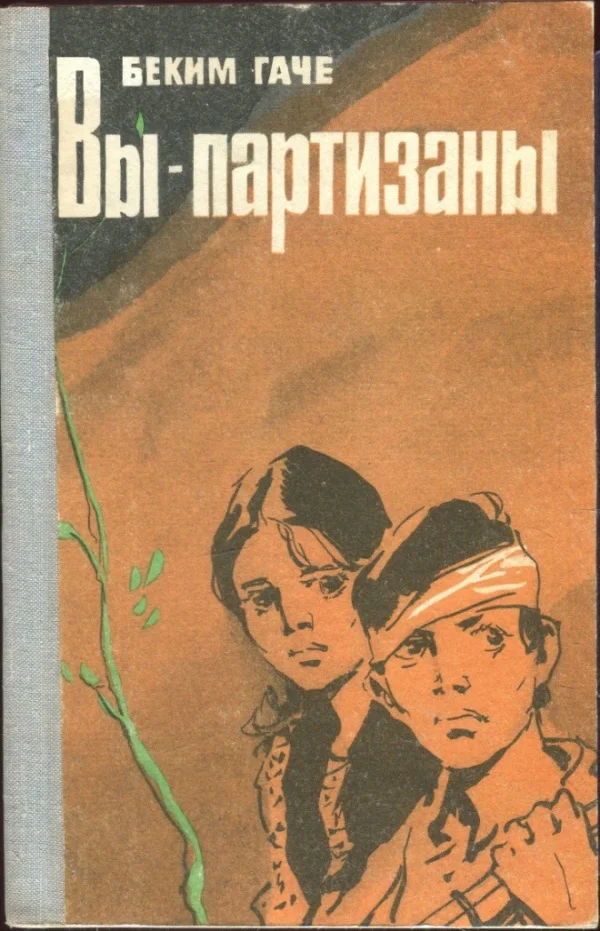 Обложка Вы — партизаны