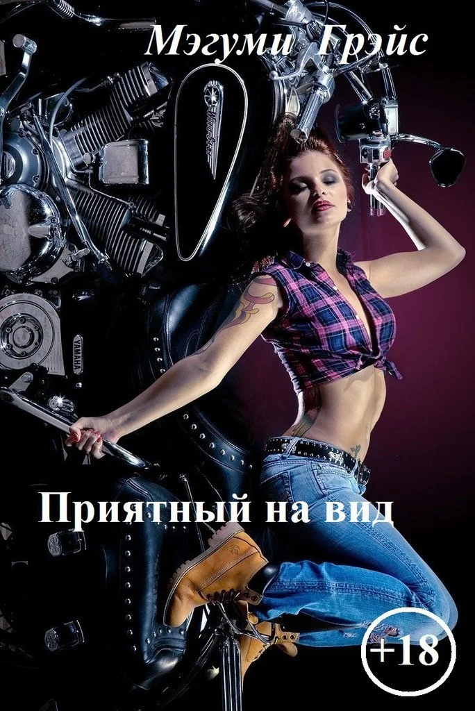 Обложка Приятный на вид (СИ)