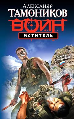 Обложка Мститель
