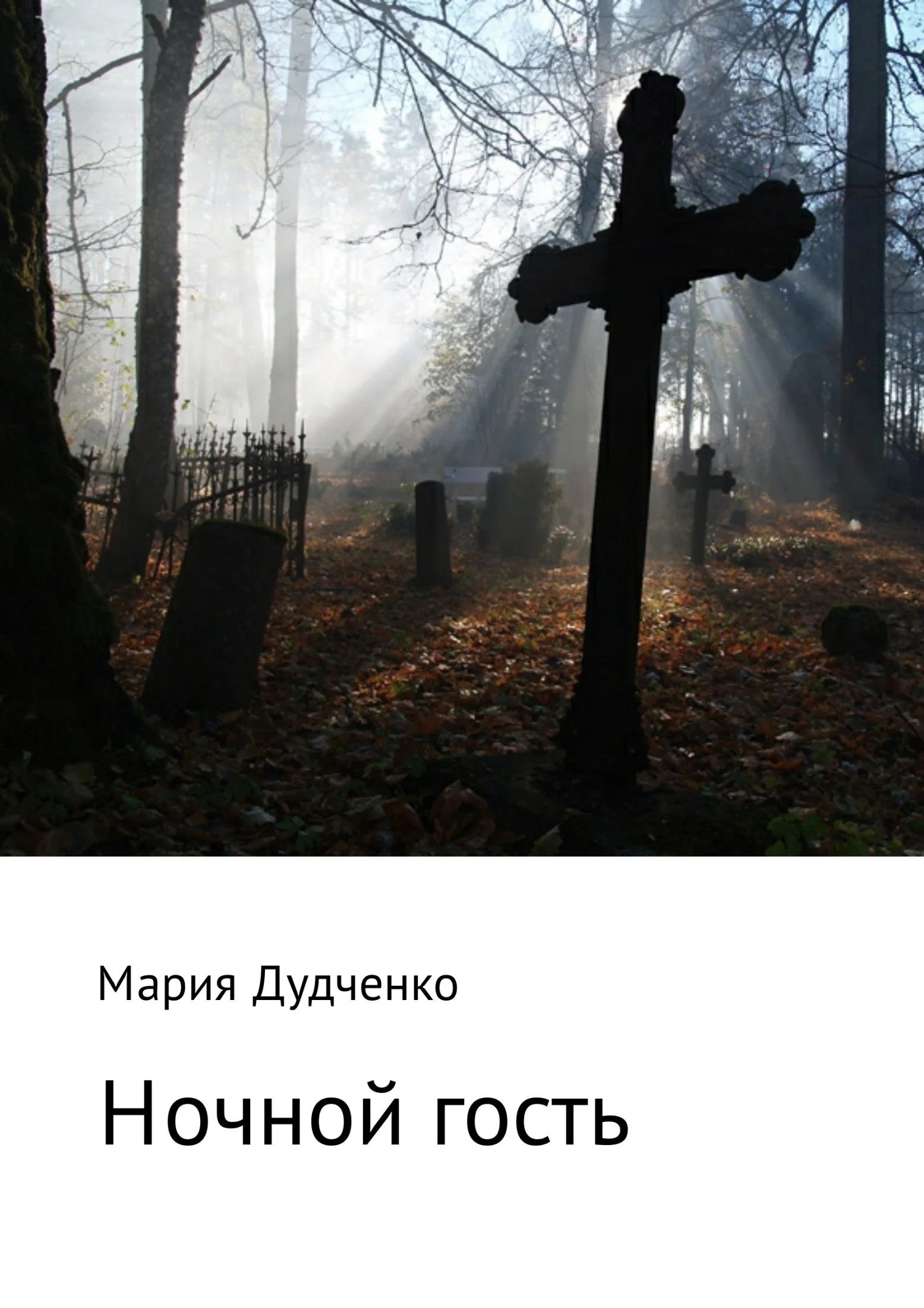 Обложка Ночной гость