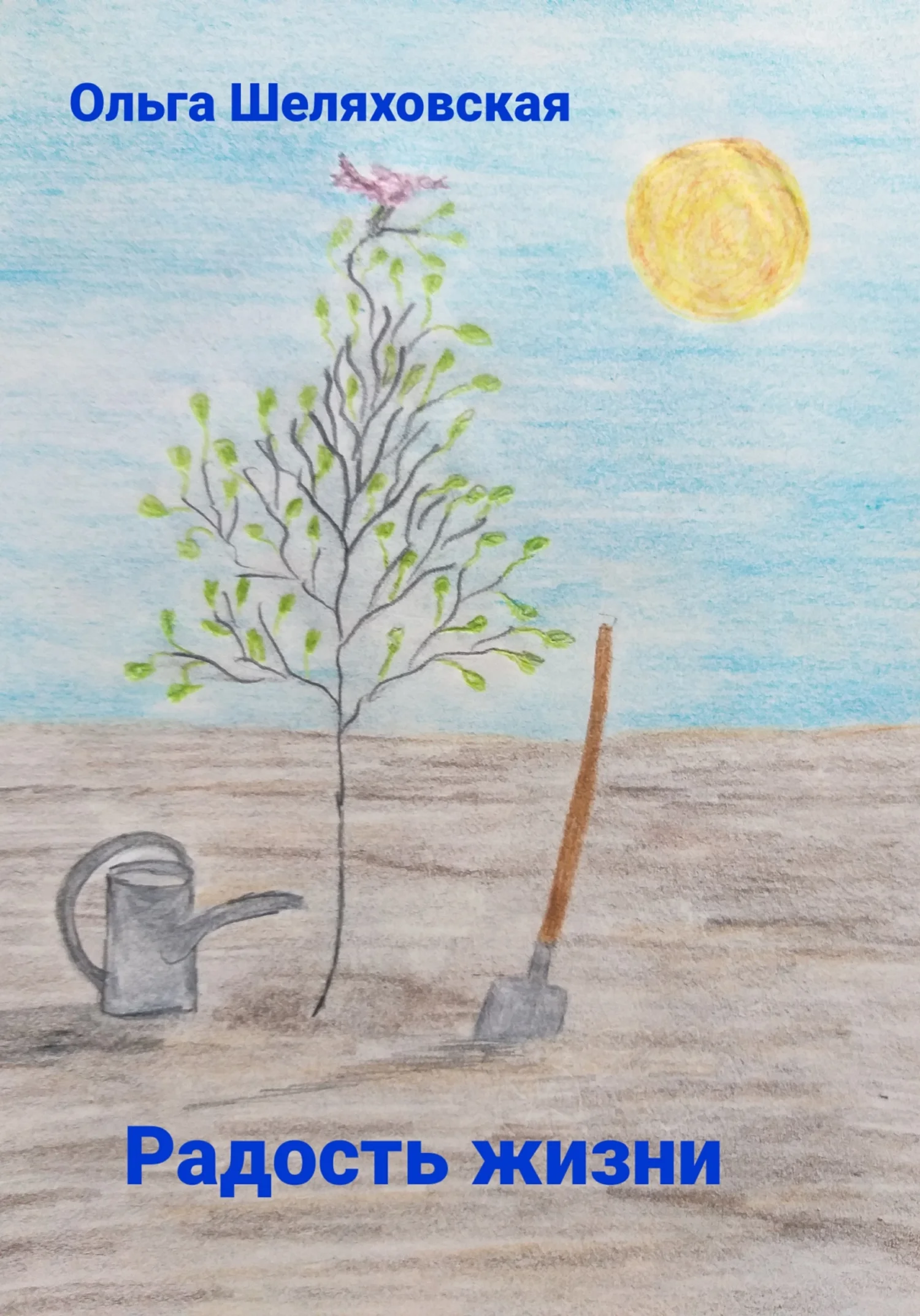 Обложка Радость жизни