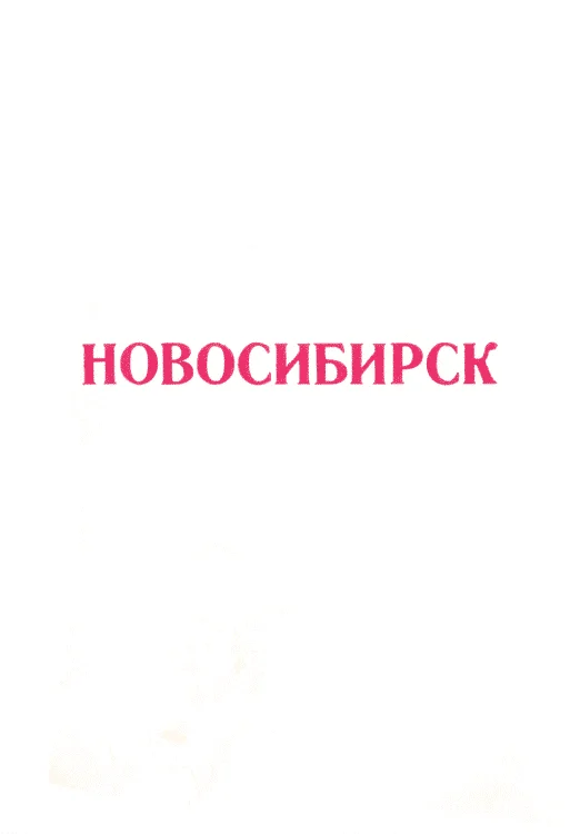 Обложка Новосибирск 1917-1975 (Справочный материал)