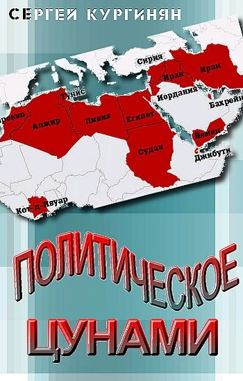 Обложка Политическое цунами