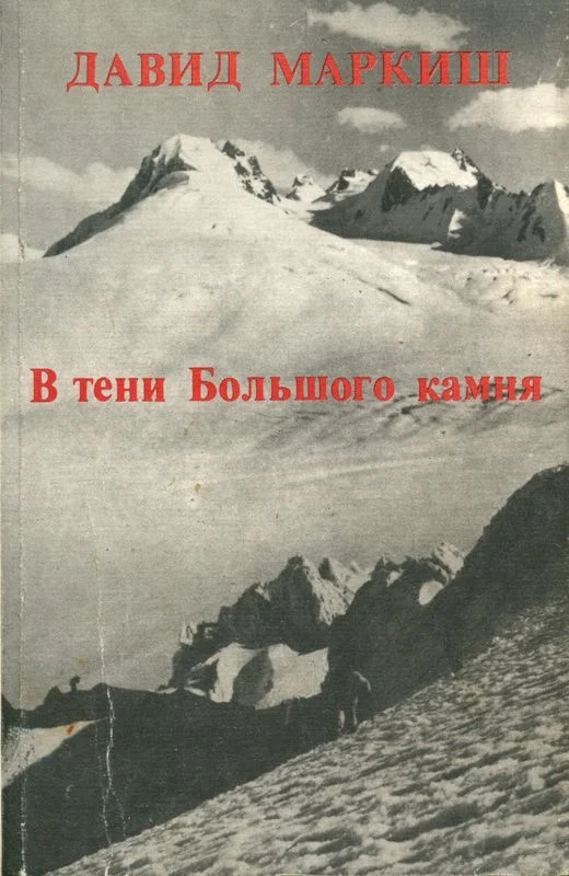 Обложка В тени Большого камня