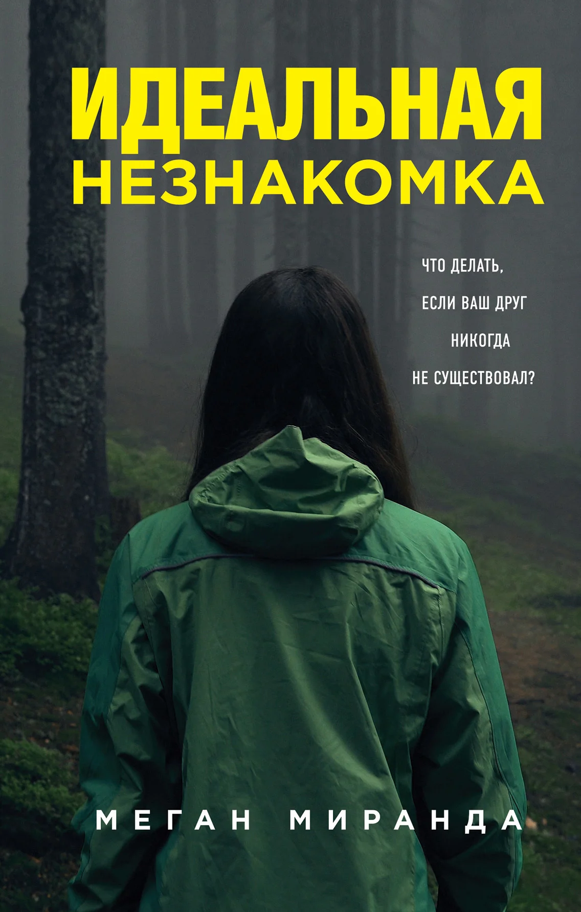Обложка Идеальная незнакомка