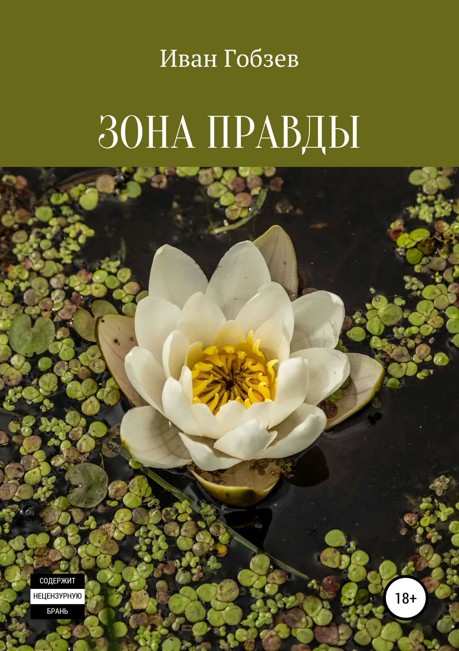Обложка Зона Правды