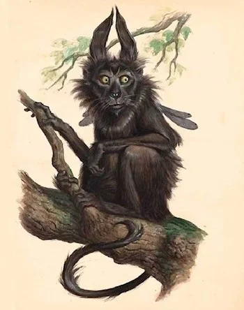 Обложка Коленька