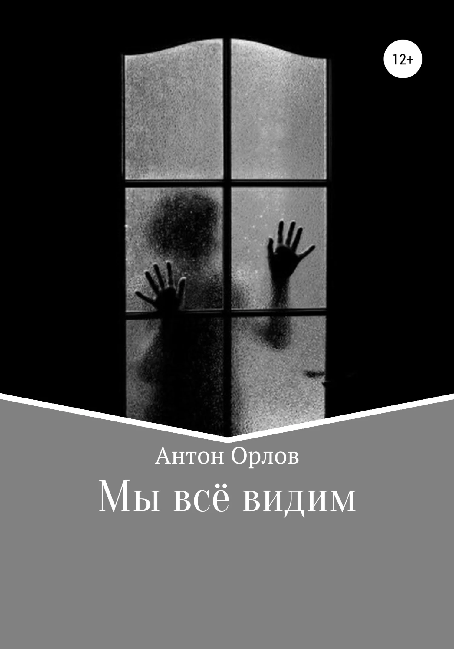 Обложка Мы все видим