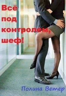 Обложка Всё под контролем, шеф!