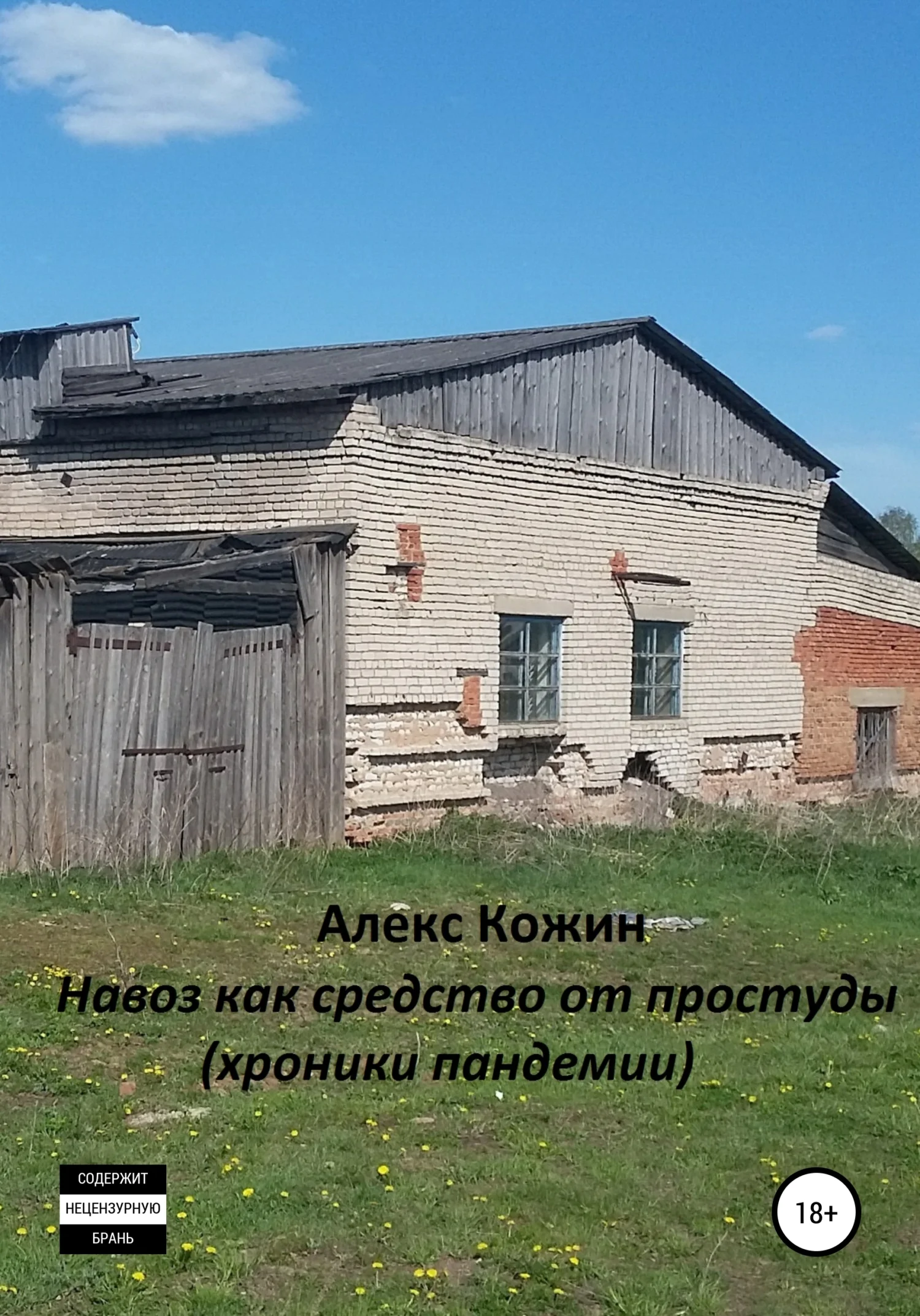 Обложка Навоз как средство от простуды (хроники пандемии)