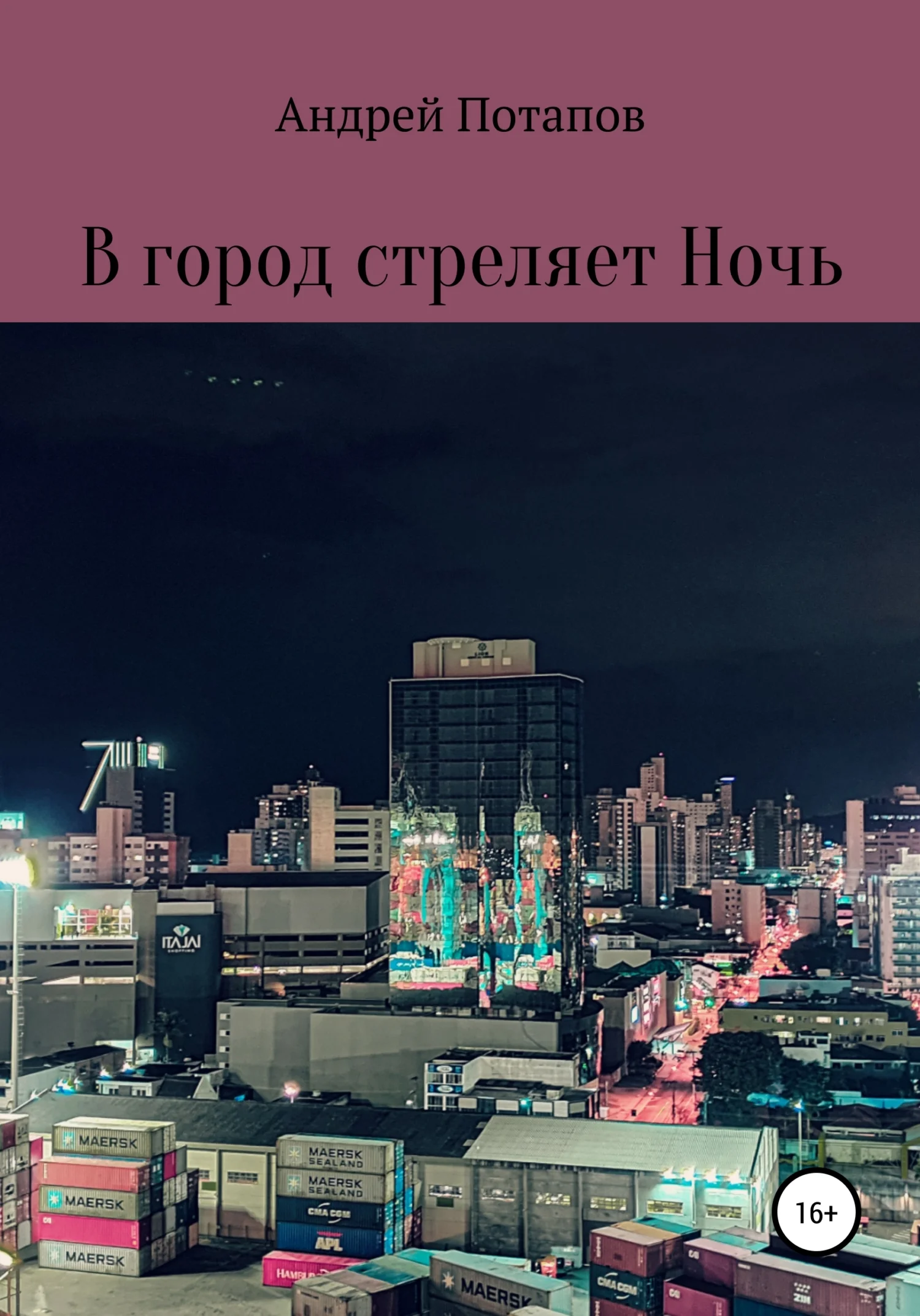 Обложка В город стреляет Ночь