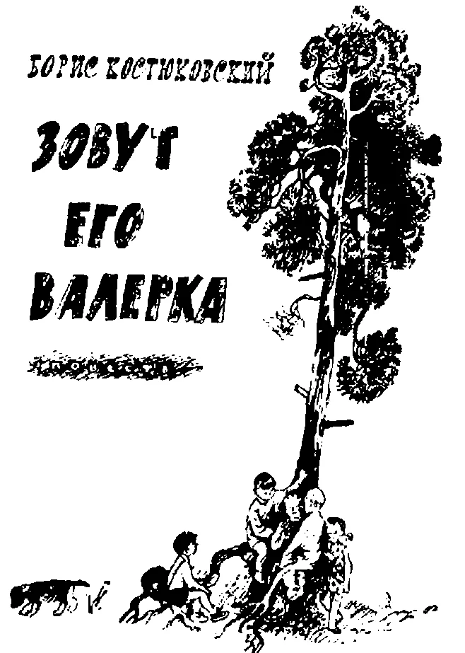 Обложка Зовут его Валерка
