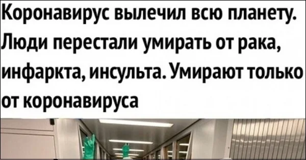 Обложка Смертность вакцинированных в восемь раз выше