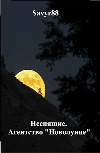 Обложка Агентство "Новолуние"