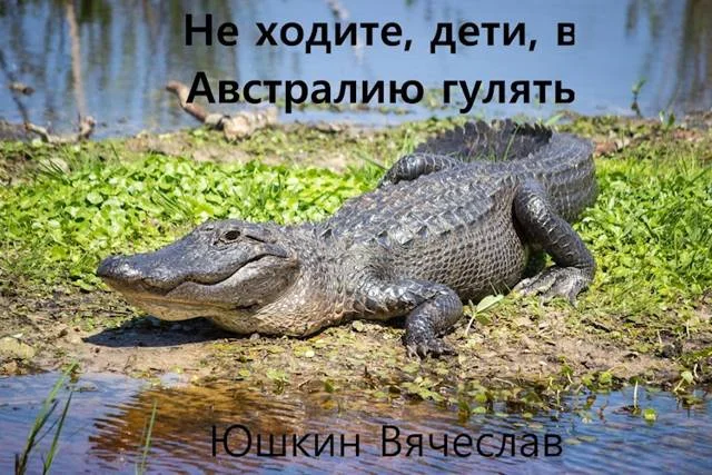 Обложка Не ходите, дети, в Австралию гулять