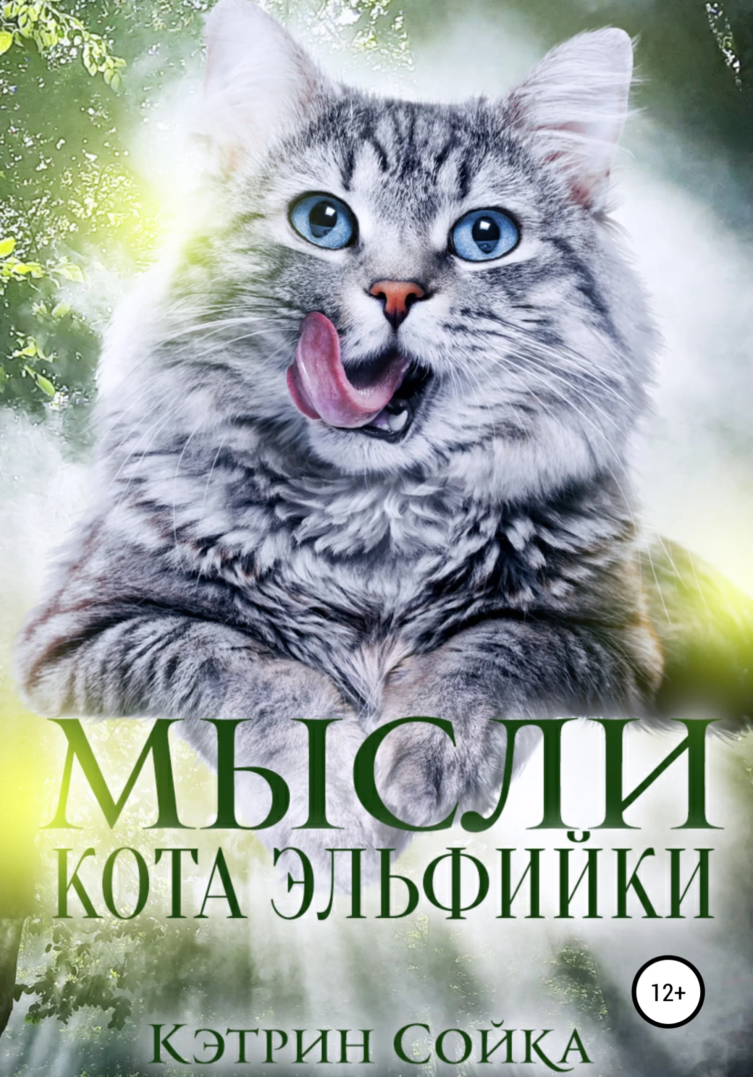 Обложка Мысли кота эльфийки