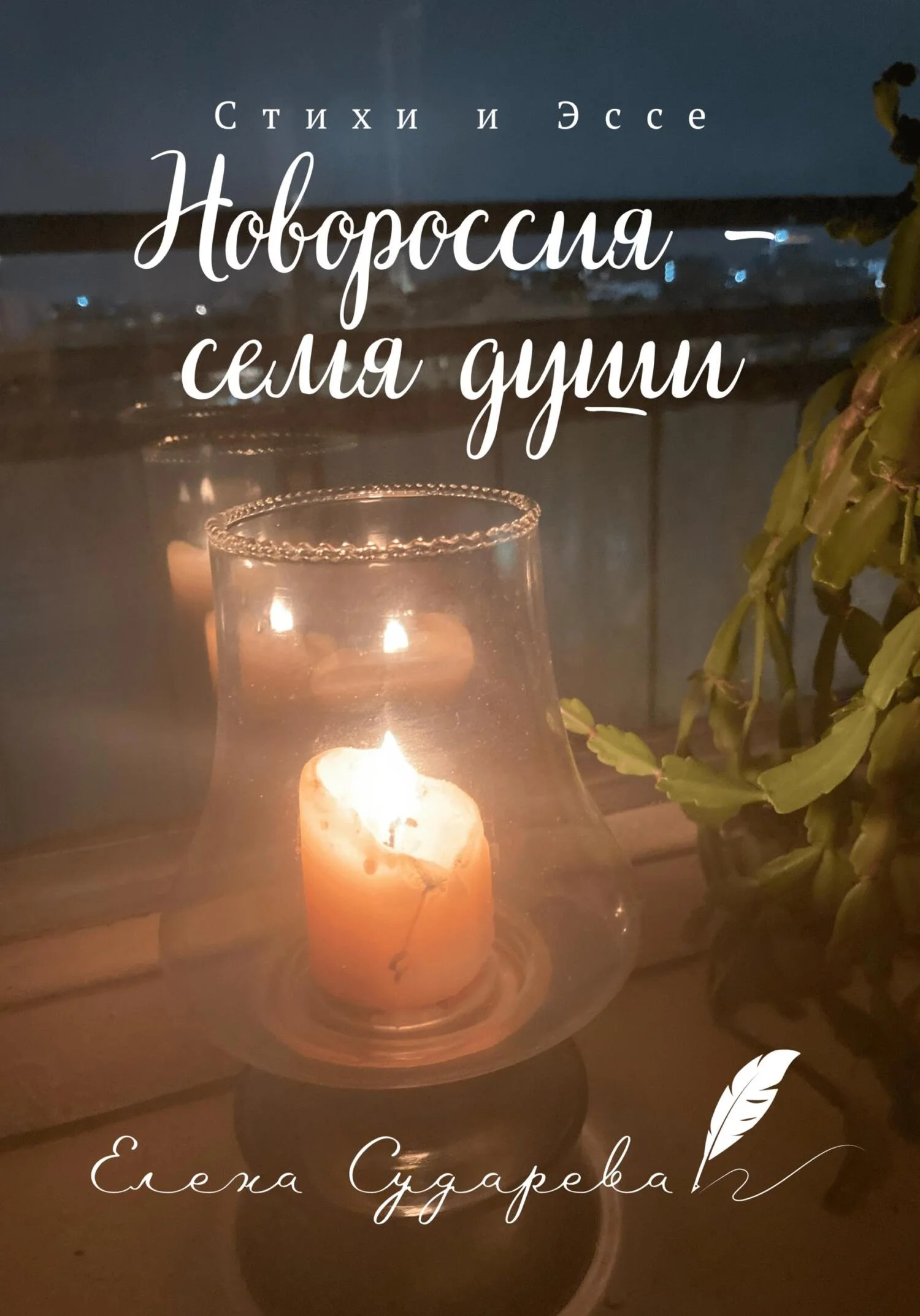 Обложка Новороссия – семя души
