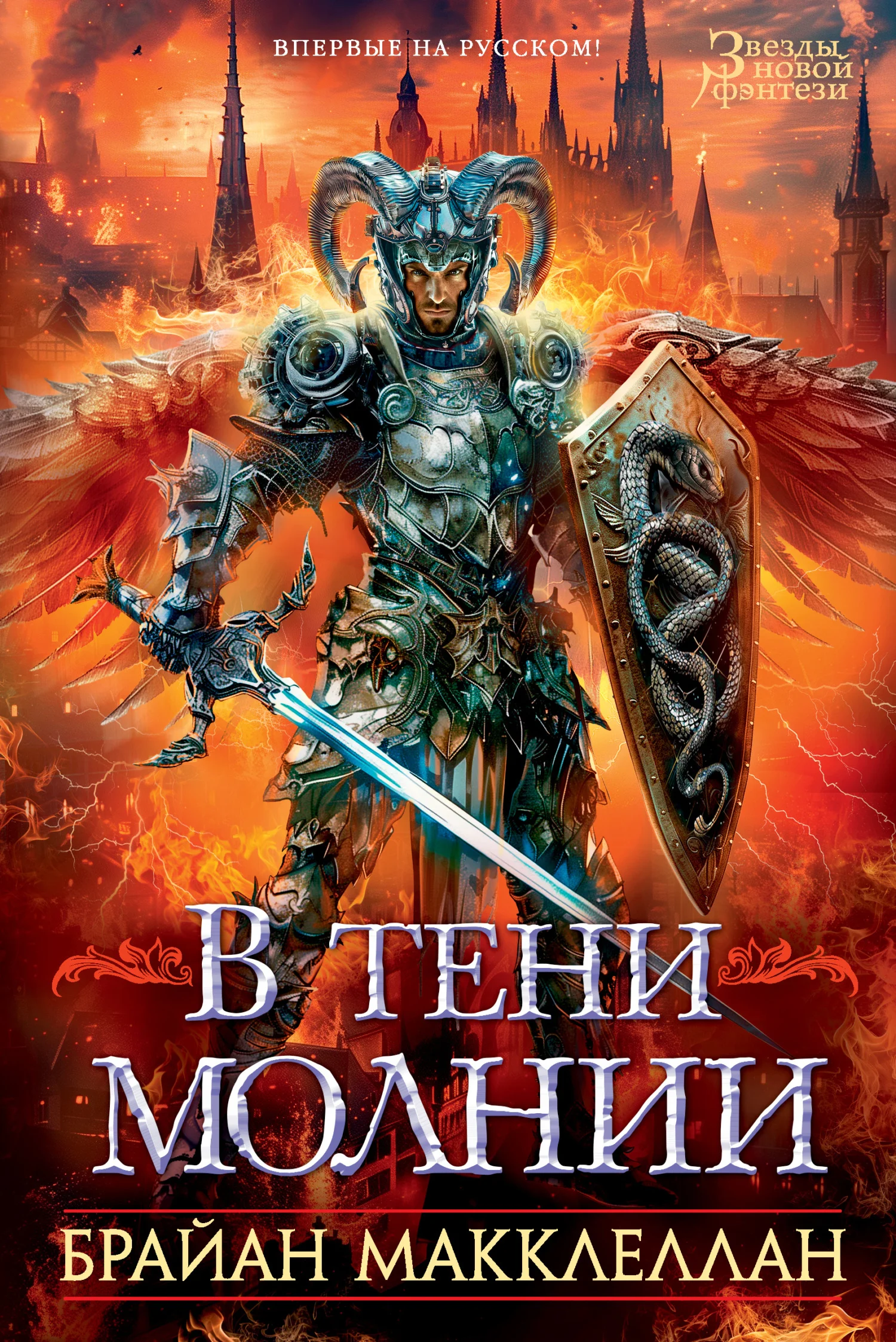 Обложка В тени молнии