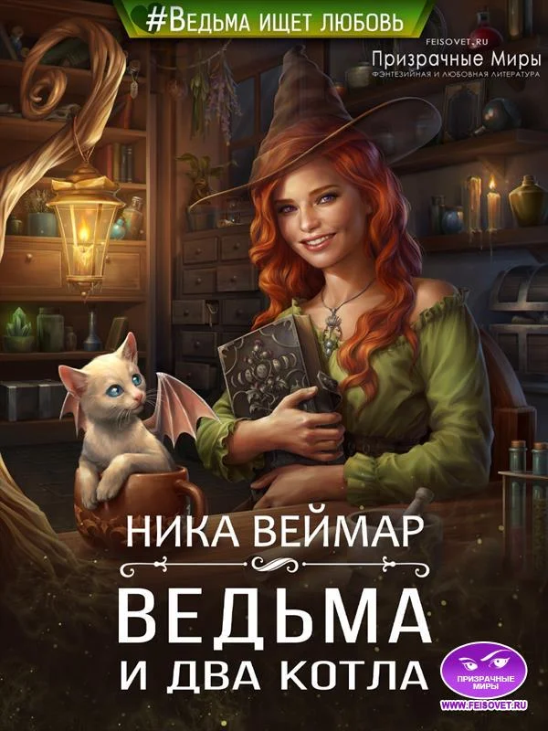 Обложка Ведьма и два котла