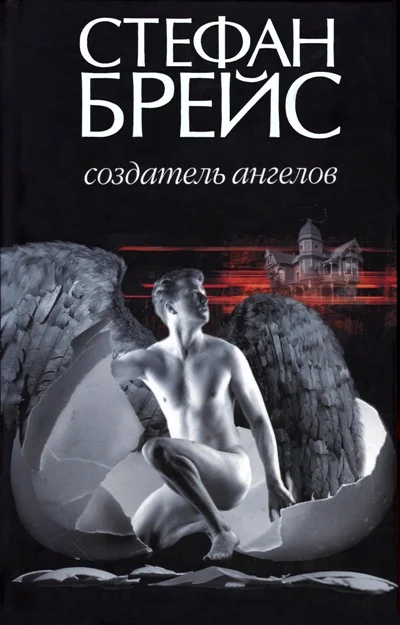 Обложка Создатель ангелов