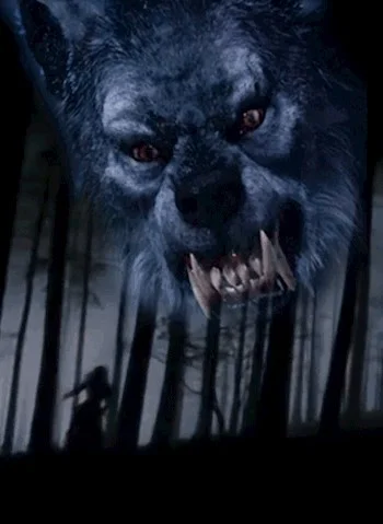 Обложка Оборотень