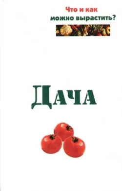 Обложка Дача. Что и как можно вырастить?