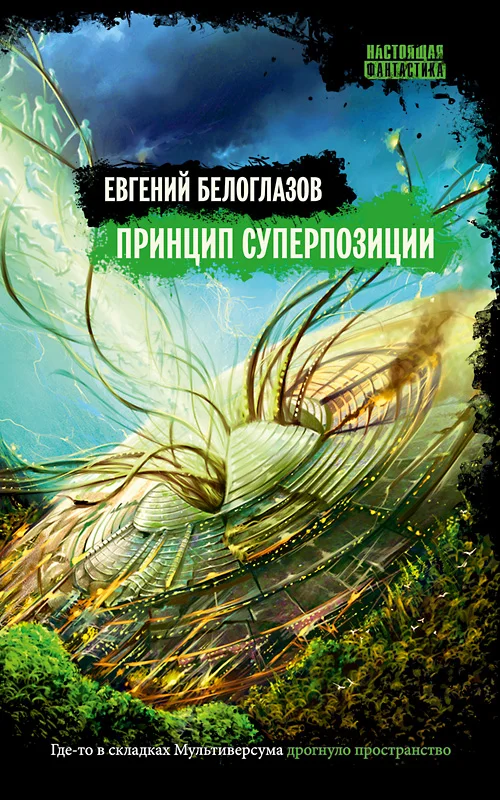 Обложка Принцип суперпозиции