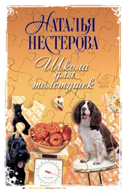 Обложка Школа для толстушек