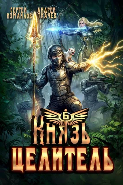 Обложка Князь Целитель 6