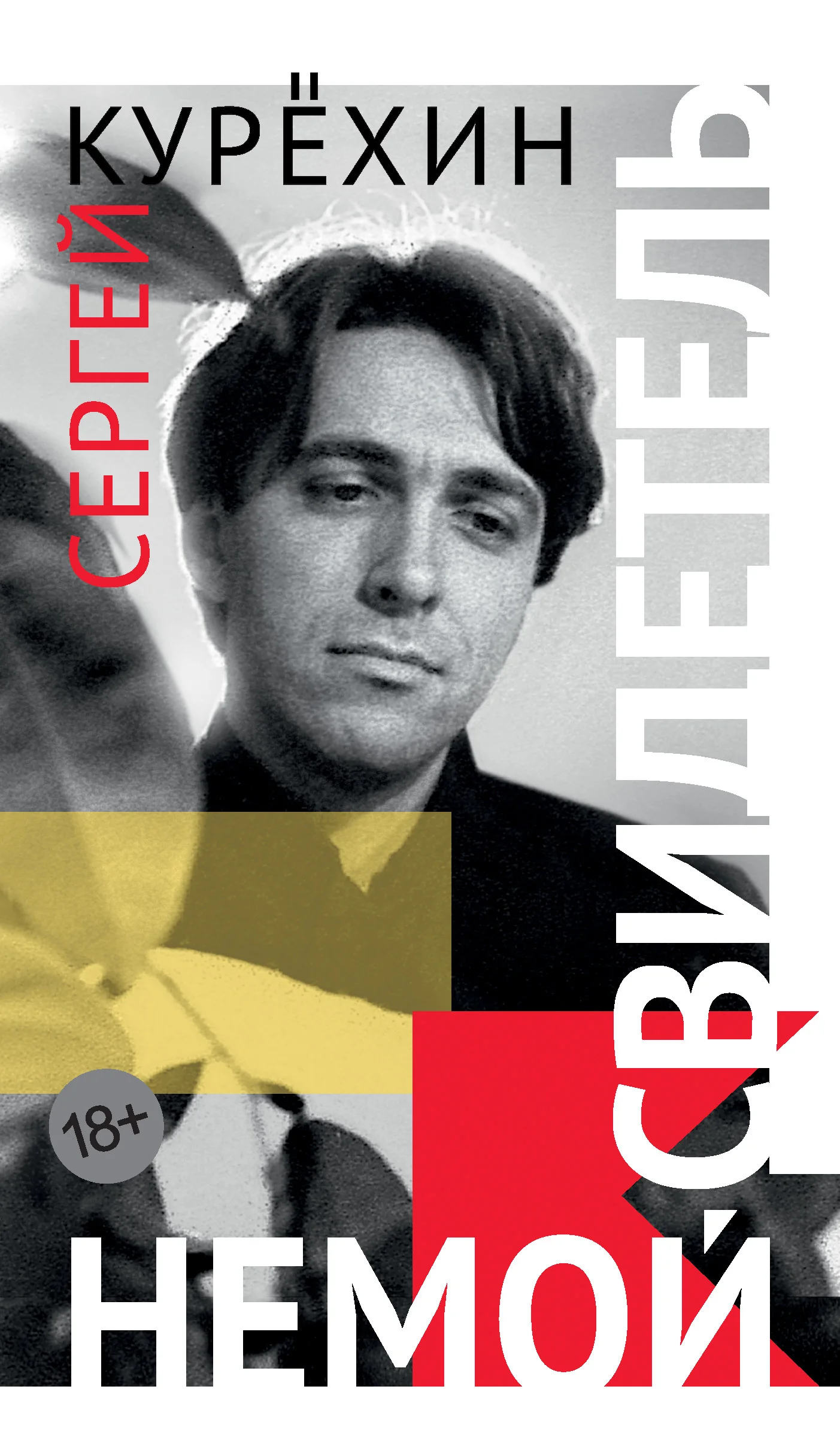 Обложка Немой свидетель