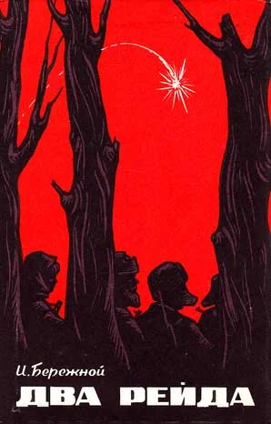 Обложка Два рейда