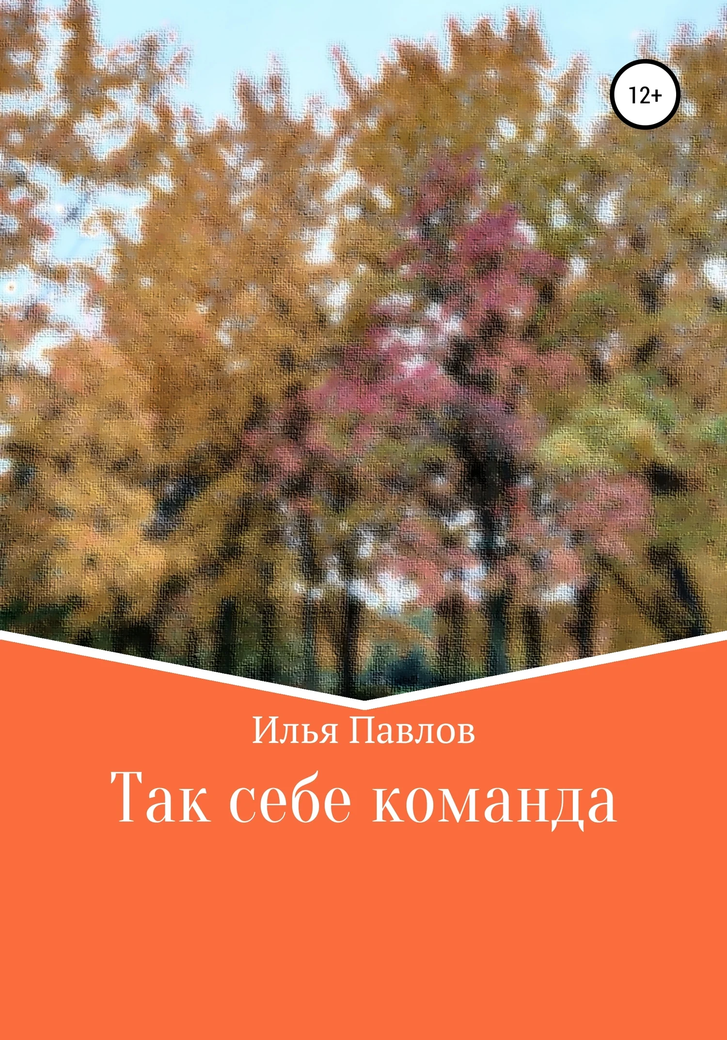 Обложка Так себе команда