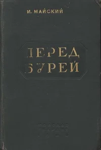Обложка Перед бурей