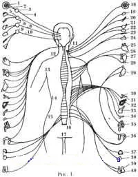Обложка Здоровье в три шага (Базовый курс системы М. Норбекова)