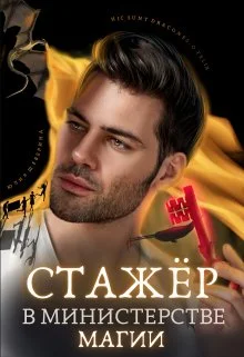 Обложка Стажёр в Министерстве Магии