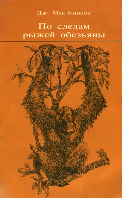 Обложка По следам рыжей обезьяны