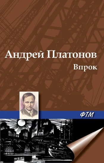 Обложка Впрок