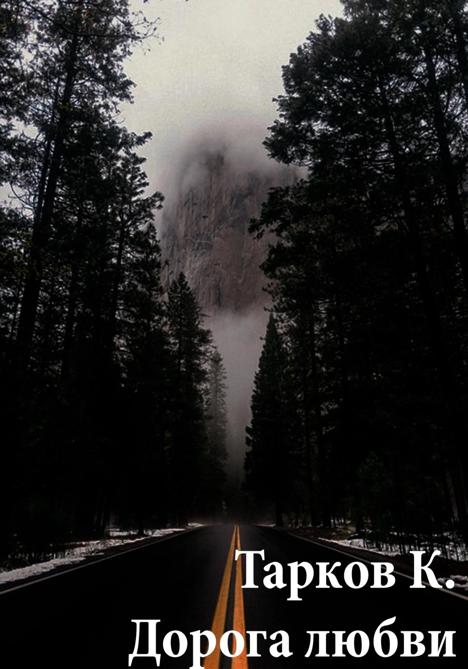 Обложка Дорога любви