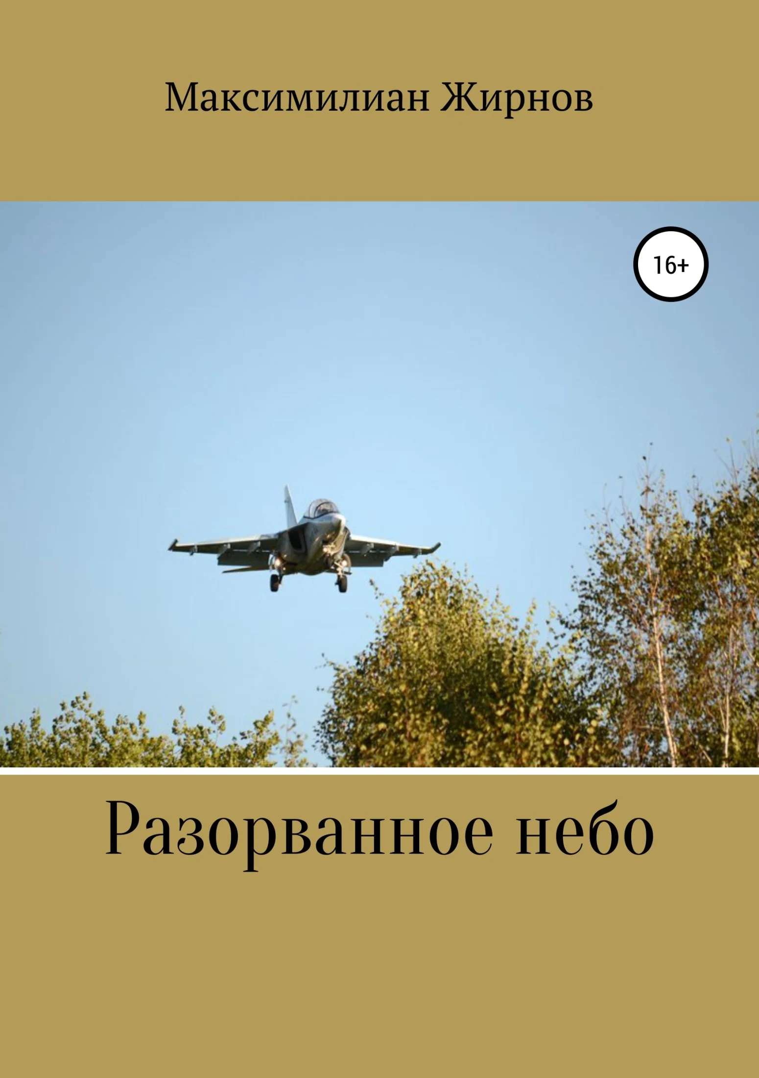 Обложка Разорванное небо