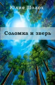Обложка Соломка и Зверь