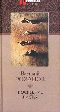 Обложка Последние листья