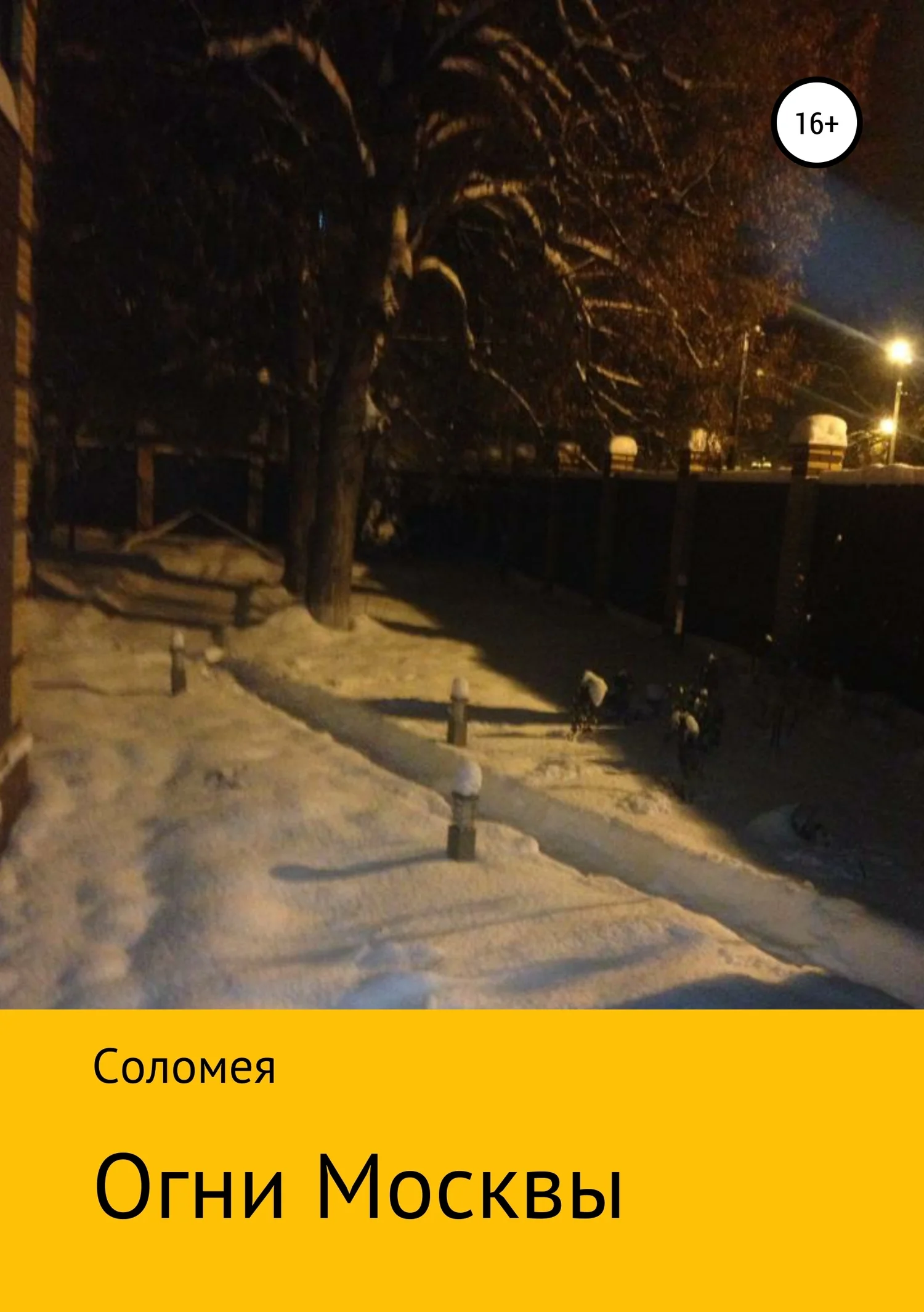 Обложка Огни Москвы