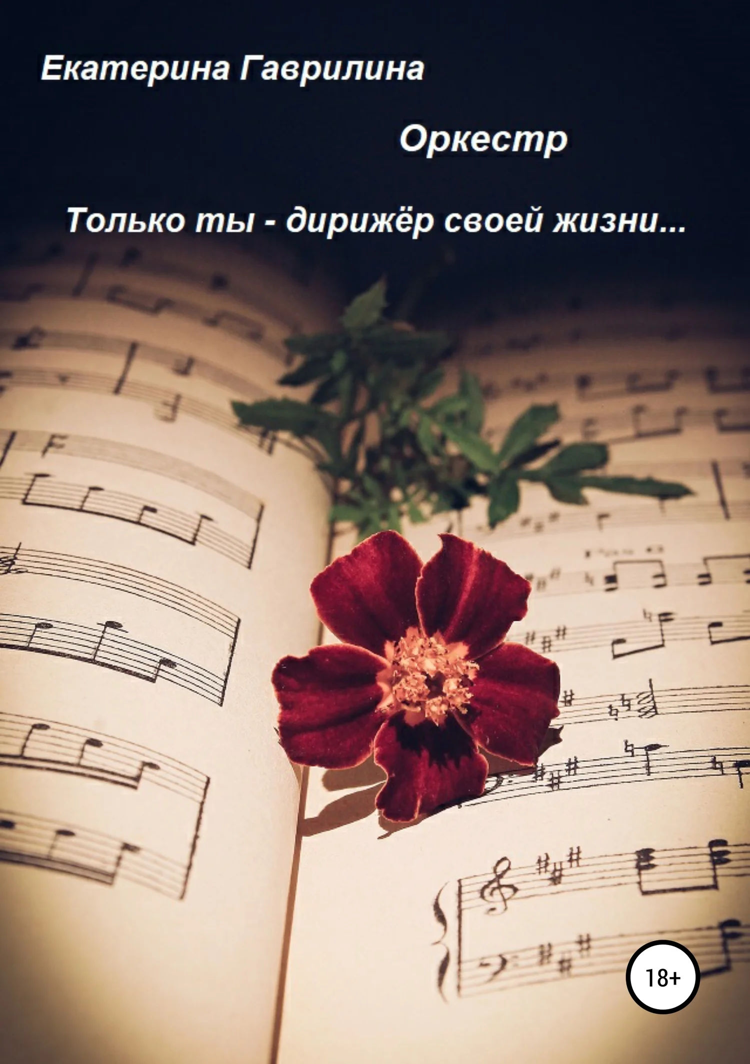 Обложка Оркестр