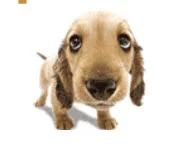 Обложка Секреты Маркетинговых Стратагем