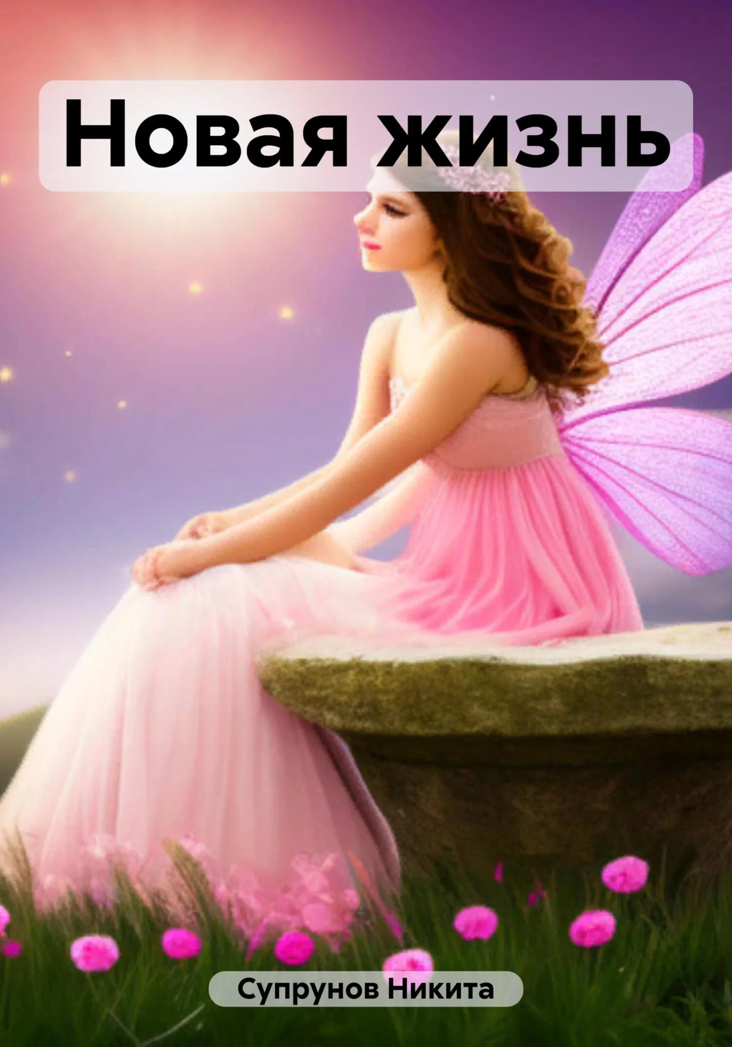 Обложка Новая жизнь