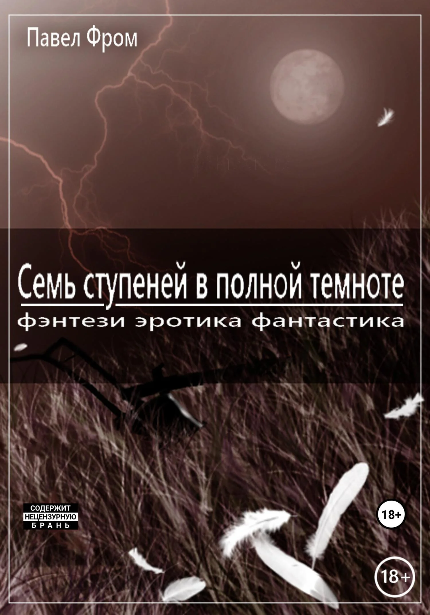 Обложка Семь ступеней в полной темноте