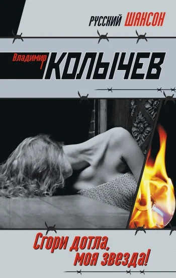 Обложка Сгори дотла, моя звезда!