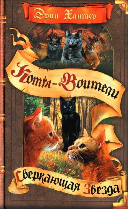 Обложка Сверкающая Звезда