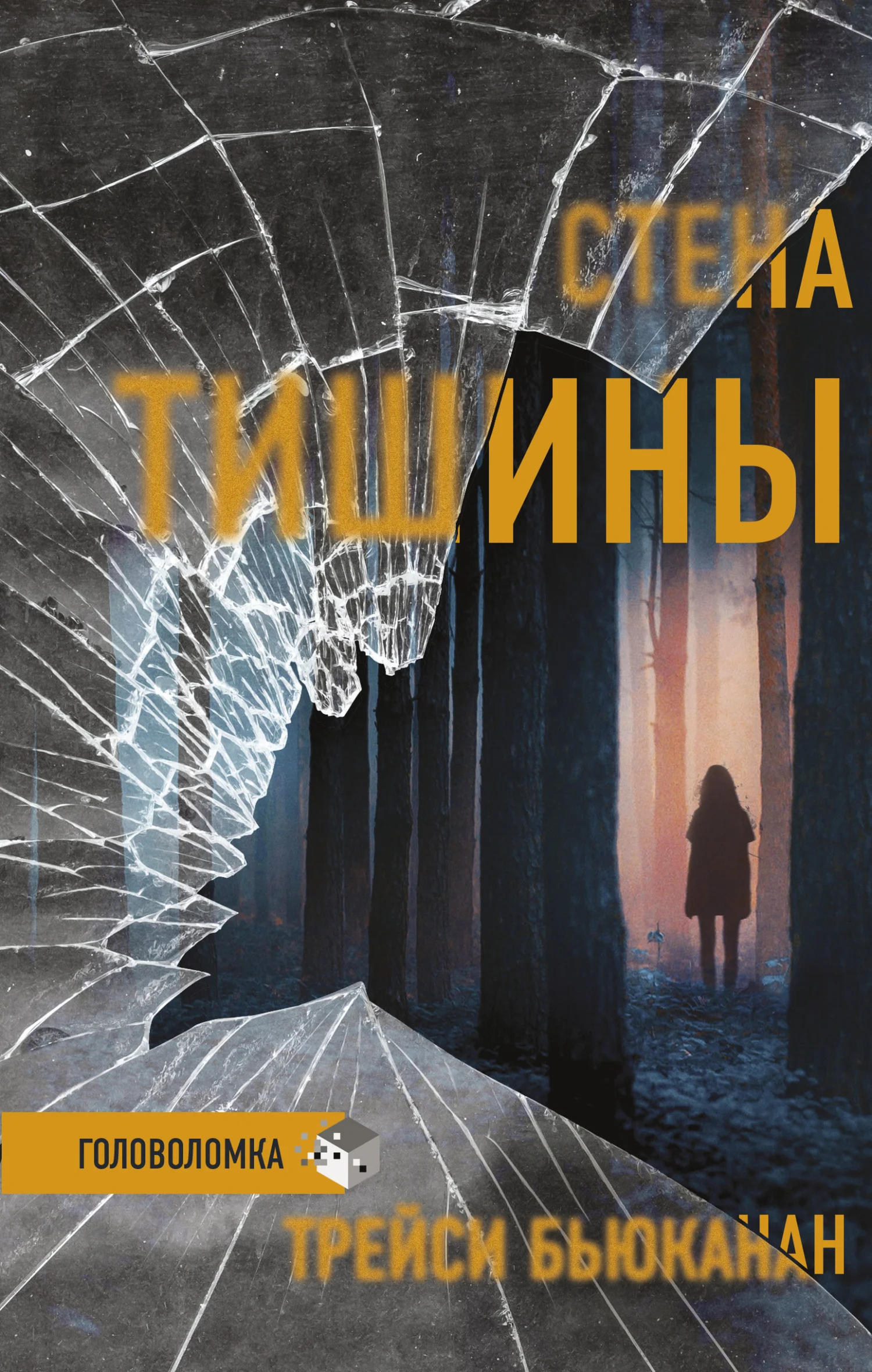 Обложка Стена тишины