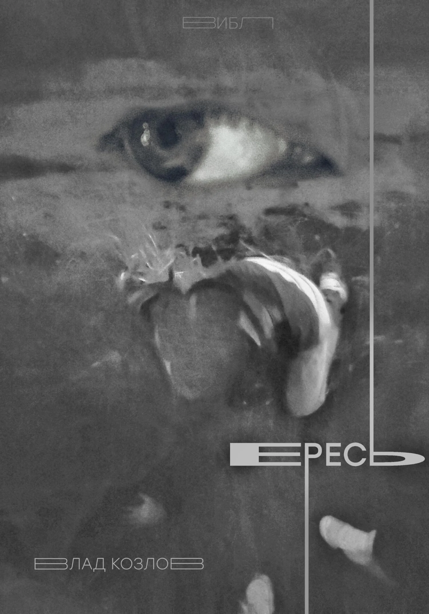 Обложка Ересь